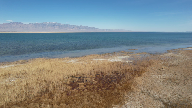 青海小柴旦湖碧绿色湖泊美景